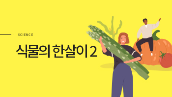 식물의 한살이 2