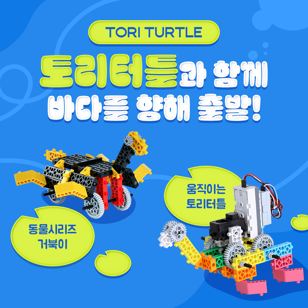 토리터틀과 함께 바다를 향해 출발!