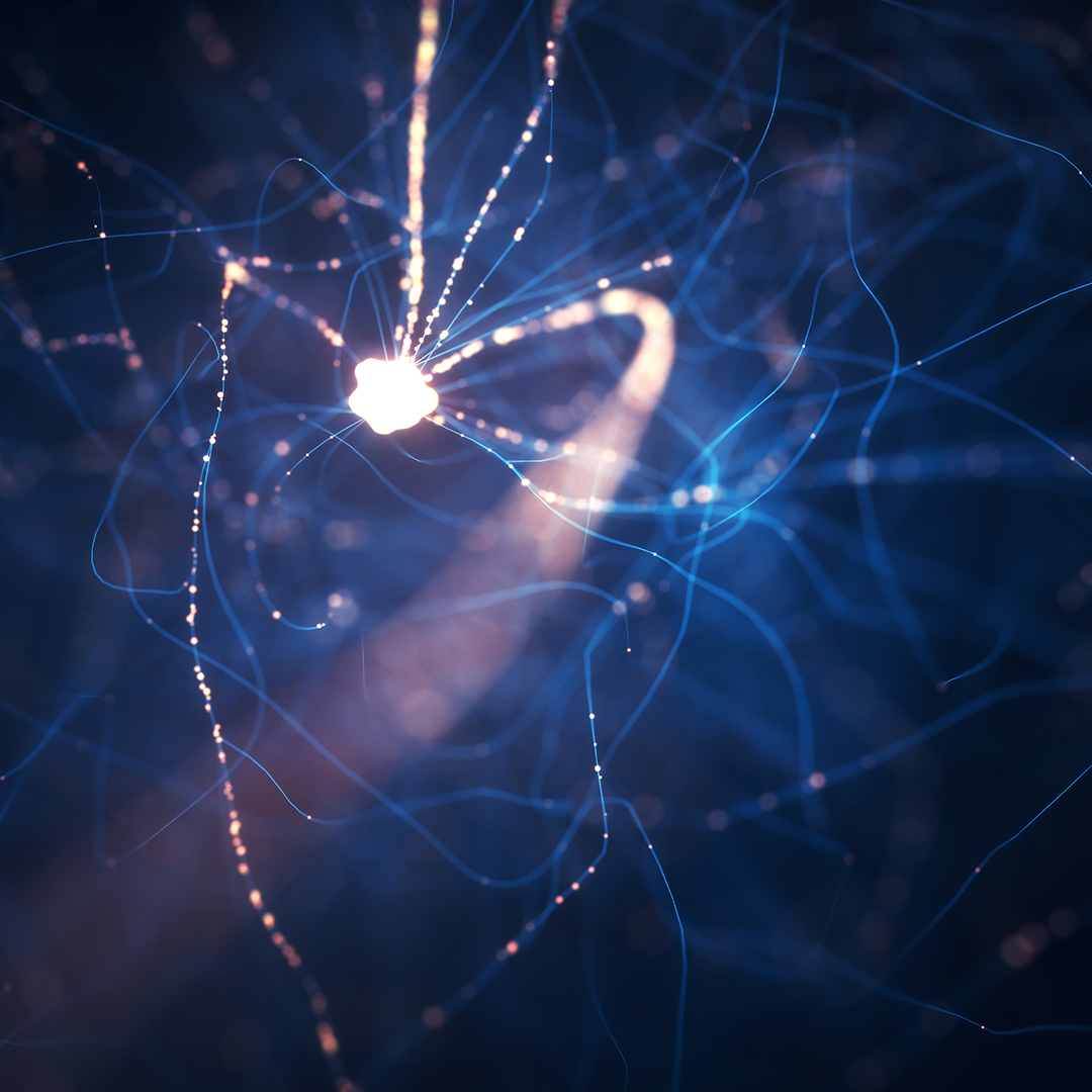 [로보토리] 마인드콘트롤 로봇